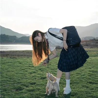 飞盘犬